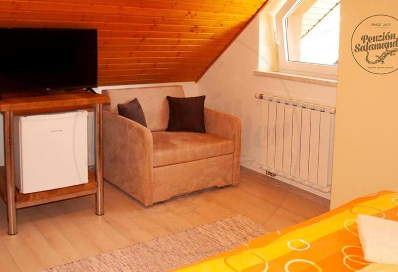 Пансион Penzion Salamander