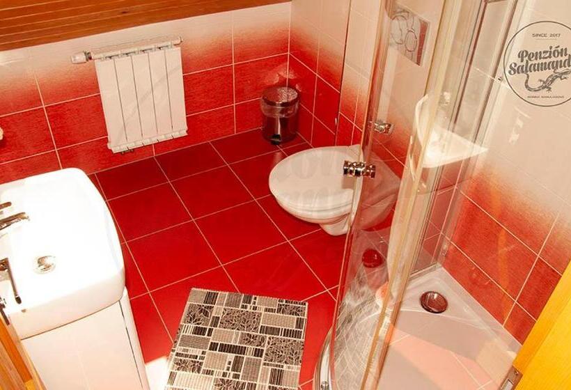 膳宿费 Penzion Salamander