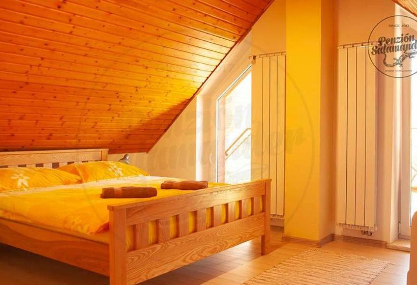 膳宿费 Penzion Salamander