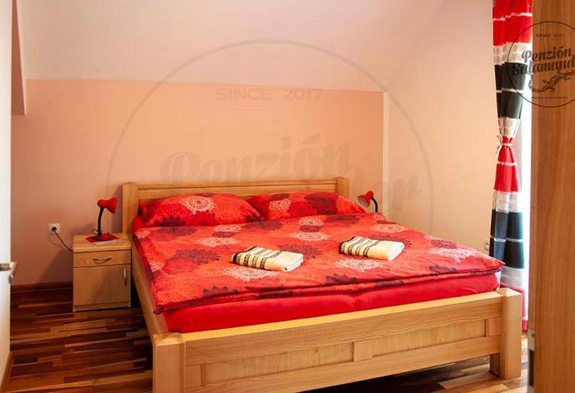 Пансион Penzion Salamander