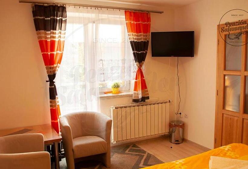 Пансион Penzion Salamander