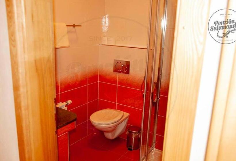 Пансион Penzion Salamander