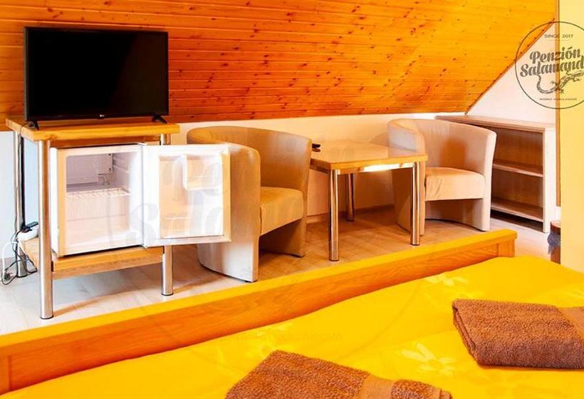 پانسیون Penzion Salamander