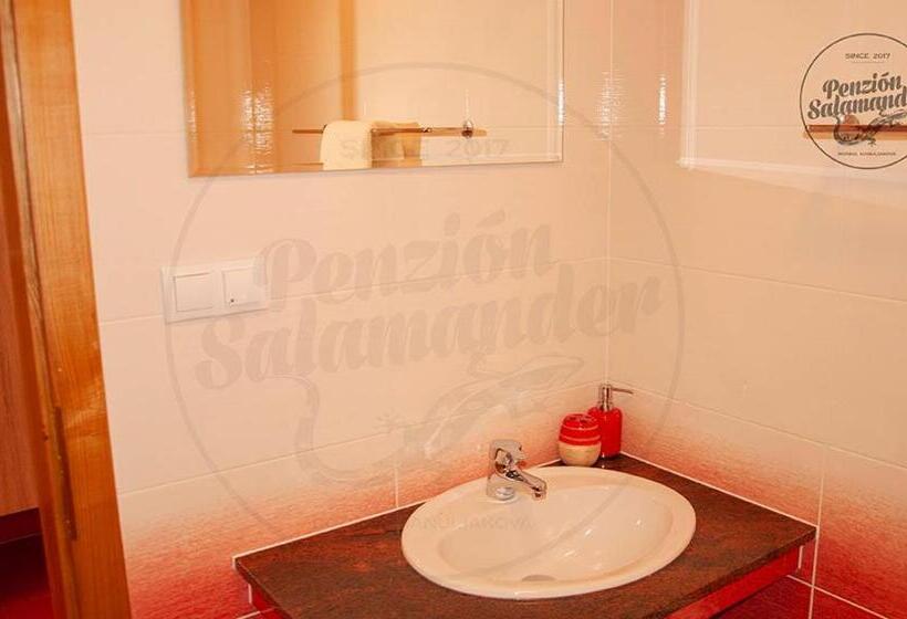 پانسیون Penzion Salamander