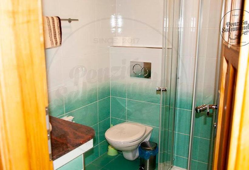 Пансион Penzion Salamander