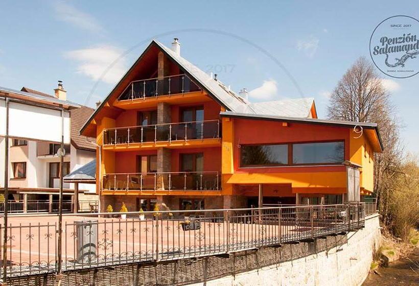 Пансион Penzion Salamander