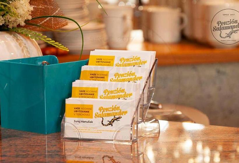 پانسیون Penzion Salamander