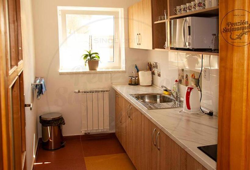 Пансион Penzion Salamander