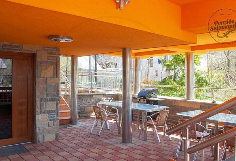 Пансион Penzion Salamander