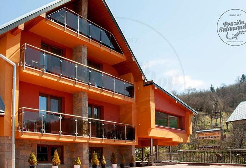 Пансион Penzion Salamander