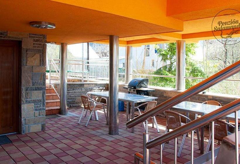 Пансион Penzion Salamander