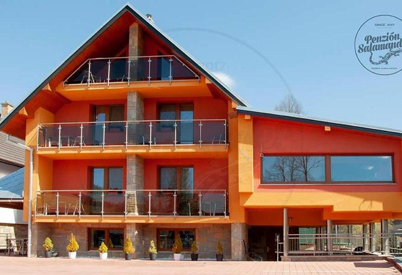 Пансион Penzion Salamander
