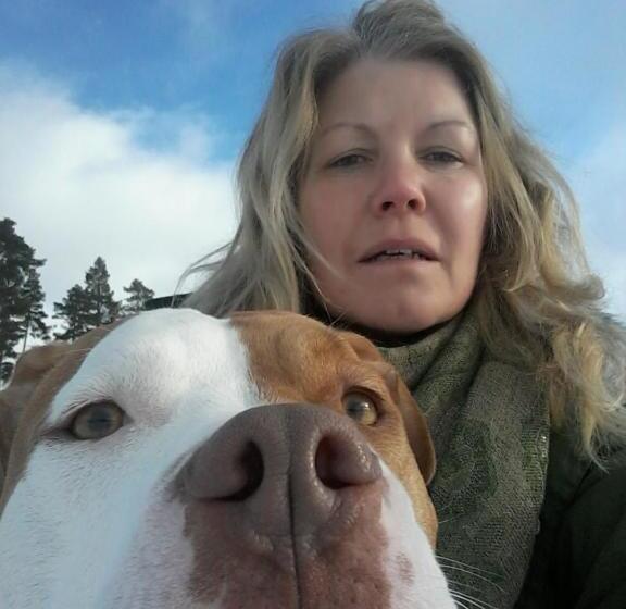 פנסיון Skogsbrynet B&b, Bredsjö Nya Herrgård