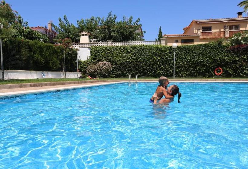 Austral Only Families