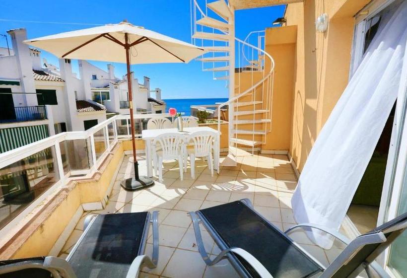 Austral Only Families