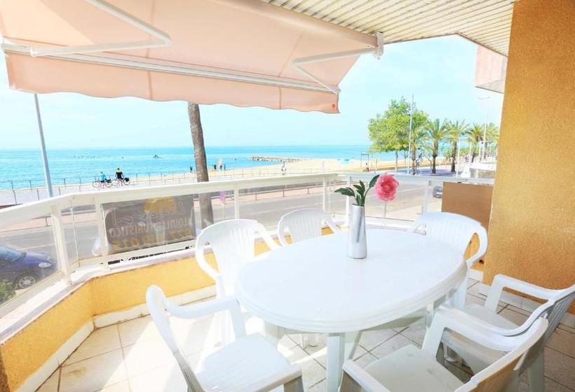 Austral Only Families