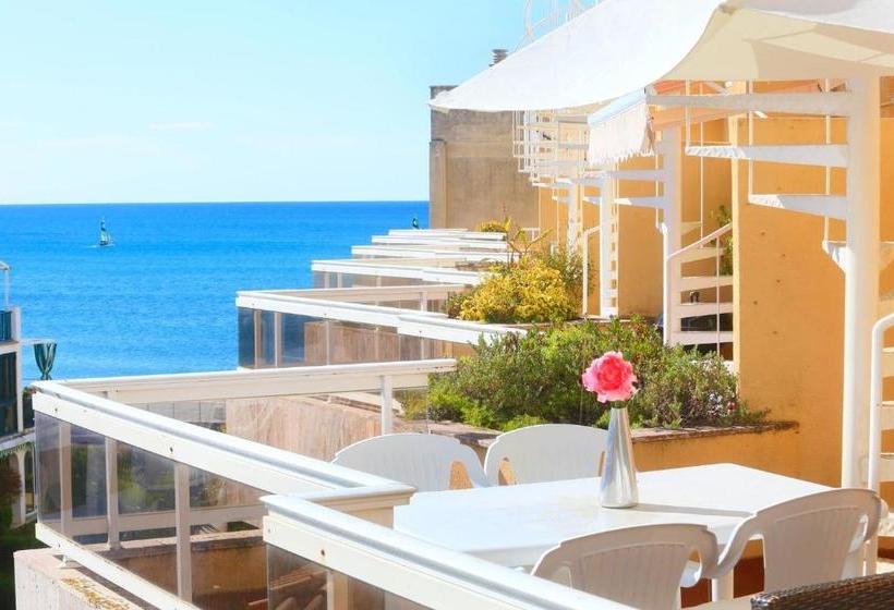 Austral Only Families