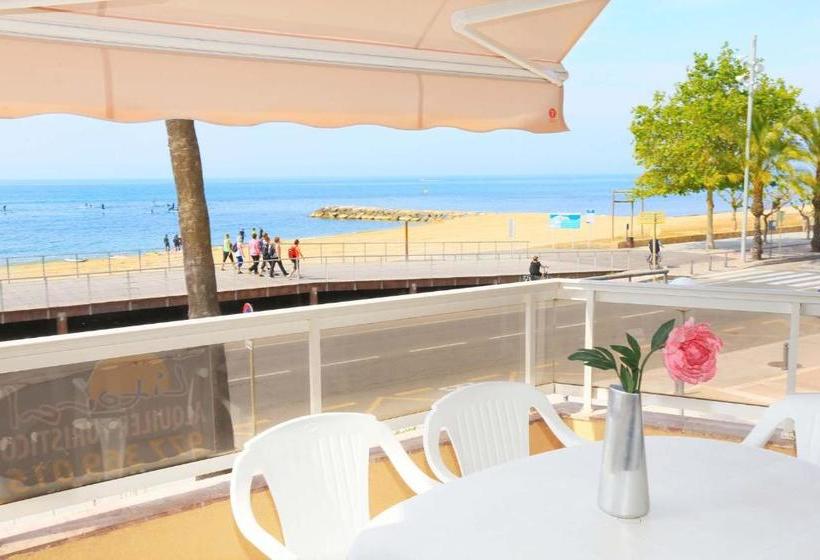 Austral Only Families