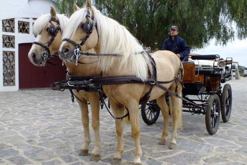 Horta da Moura Hotel Rural