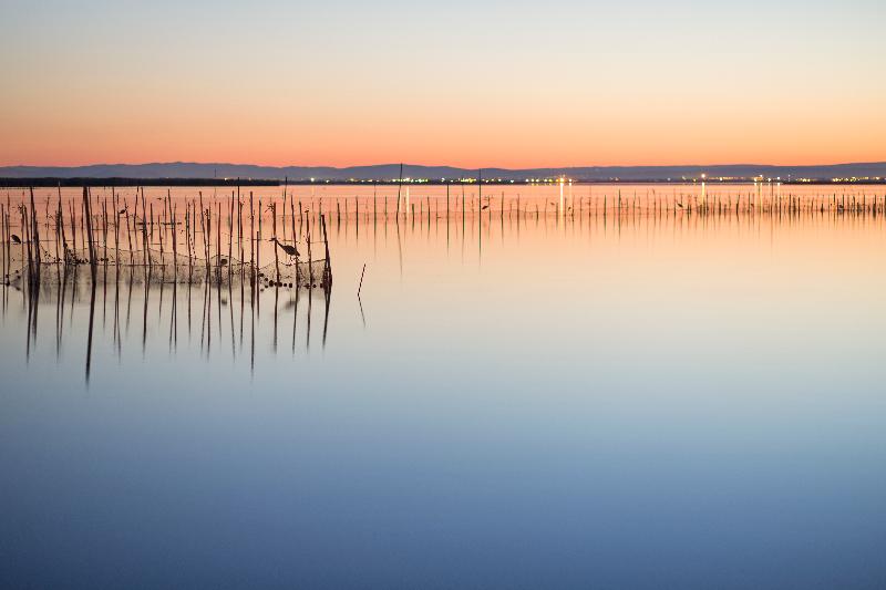 فندق Albufera