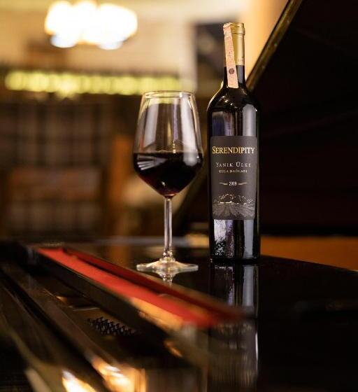 Anemon Koleksiyon Galata Otel