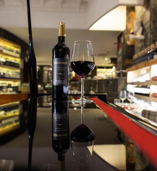 Anemon Koleksiyon Galata Otel