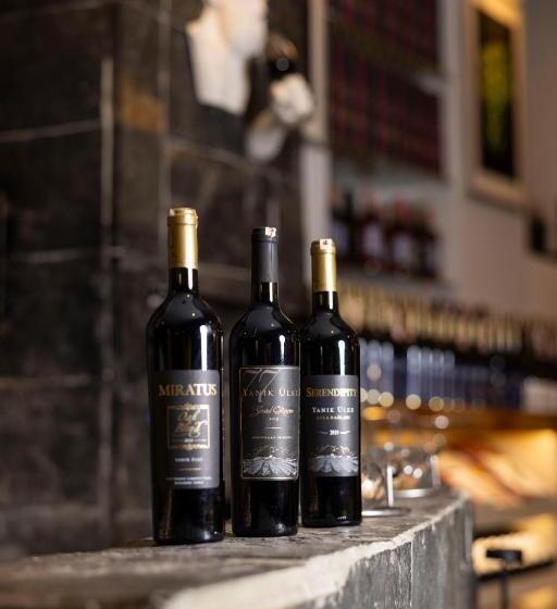 Anemon Koleksiyon Galata Otel