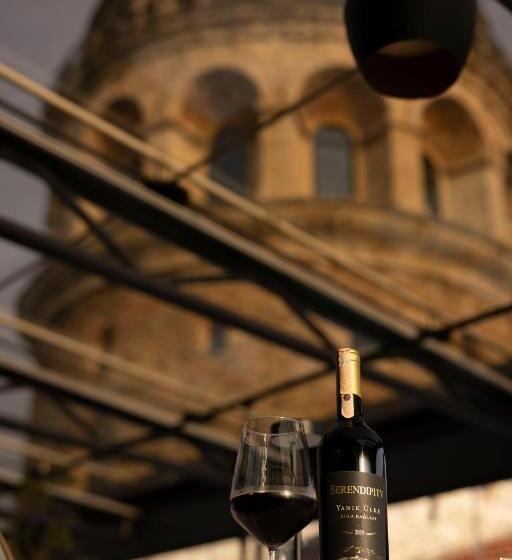 Anemon Koleksiyon Galata Otel