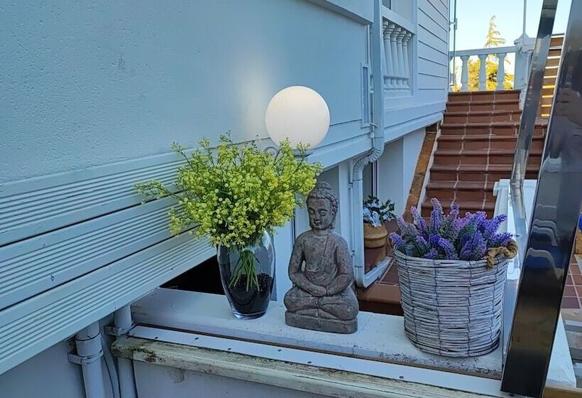 Отель Don Diego