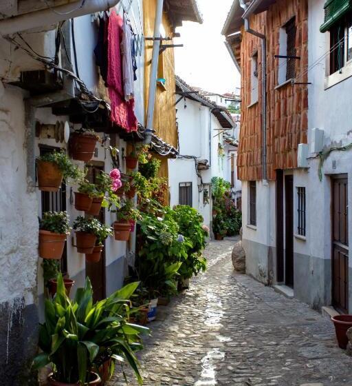 Отель Valle Del Ambroz