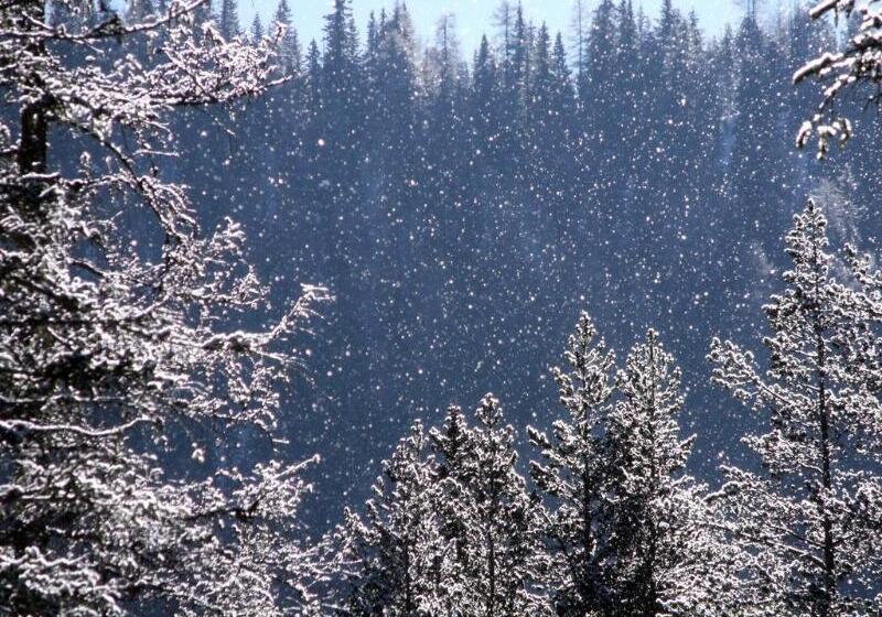 酒店 Miramonti Corvara