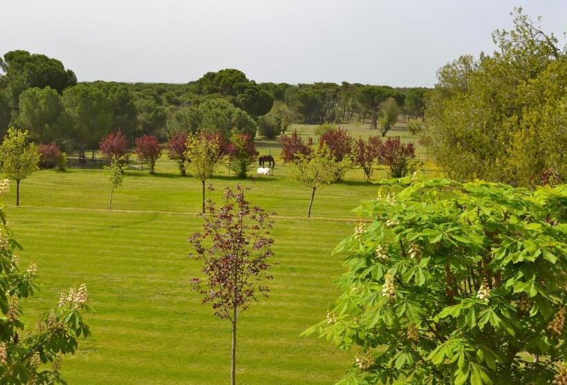 ホテル Posada Real Del Pinar