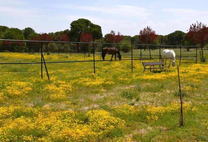 ホテル Posada Real Del Pinar