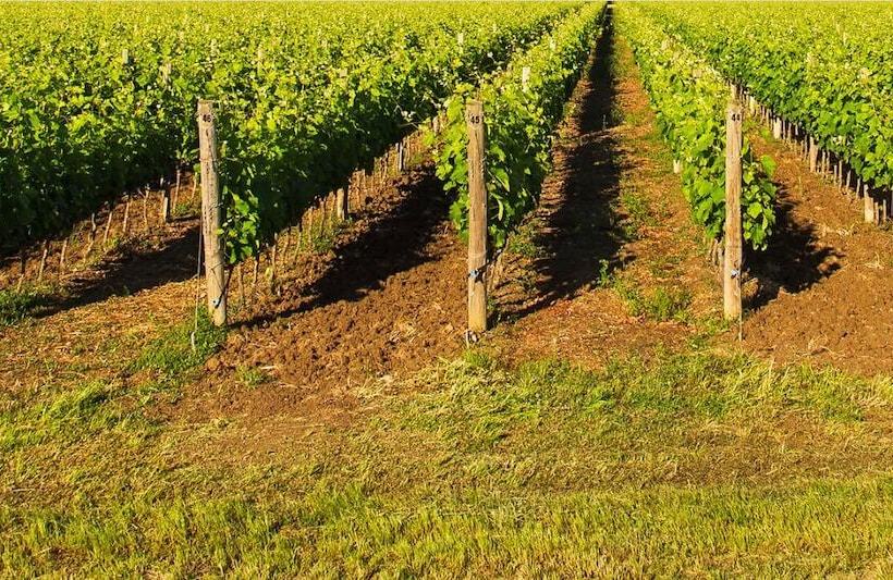 בית מלון כפרי Relais Villa Pomela