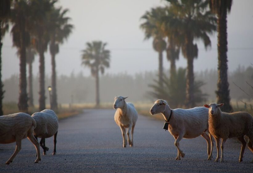 교외 호텔 Virrey Finca