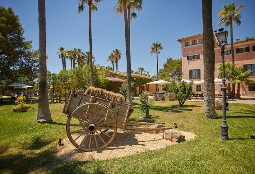 교외 호텔 Virrey Finca