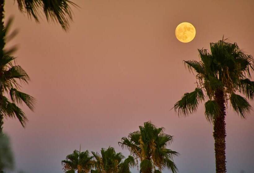 교외 호텔 Virrey Finca