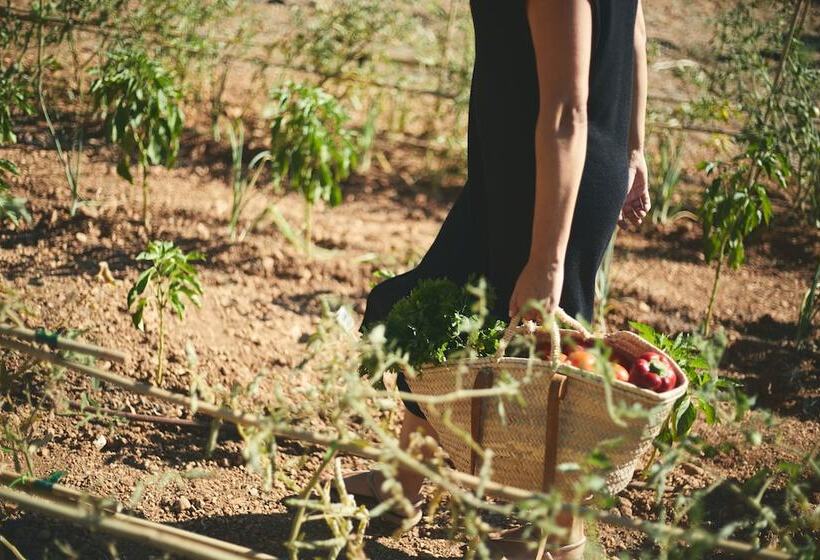 교외 호텔 Virrey Finca