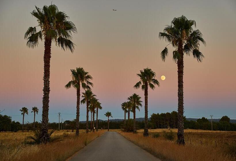 교외 호텔 Virrey Finca