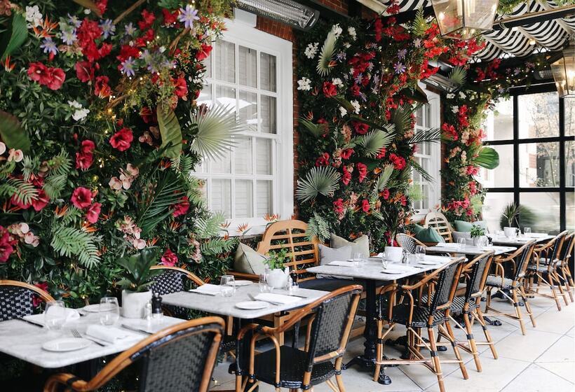 فندق The Bloomsbury