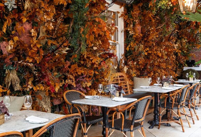 酒店 The Bloomsbury