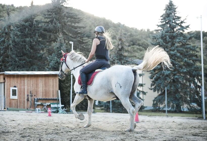 בית מלון כפרי The Originals City, Hôtel Paris Sud, Orly Draveil