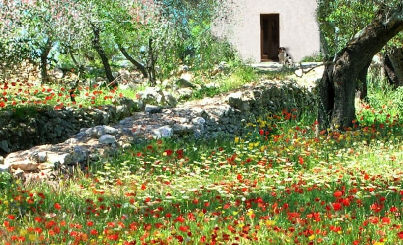 Jardins Da Balaia Guest Apartment