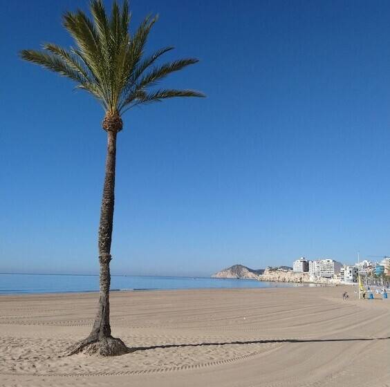 Karola   Fincas Arena