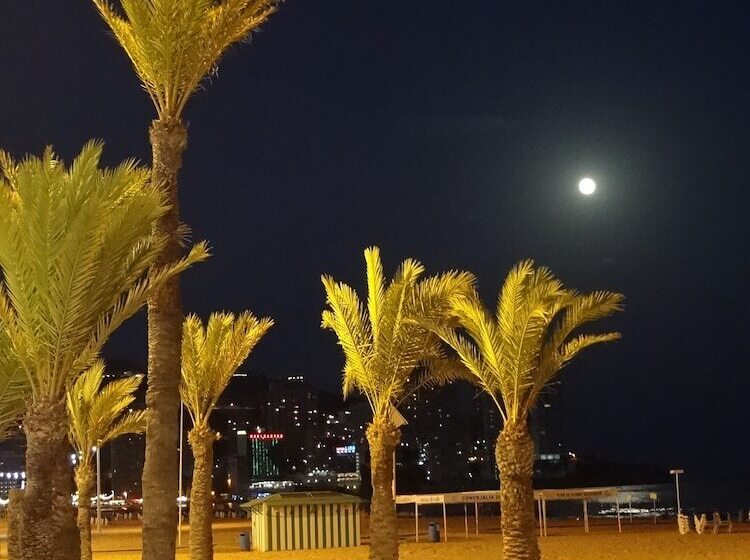 Karola   Fincas Arena