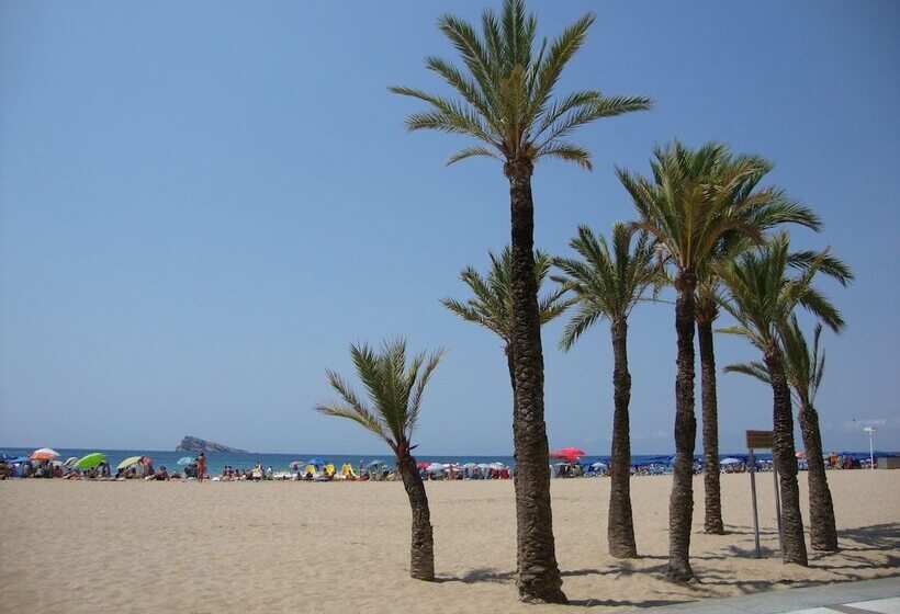 Karola   Fincas Arena