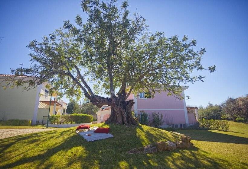 Отель Cegonha Country Club