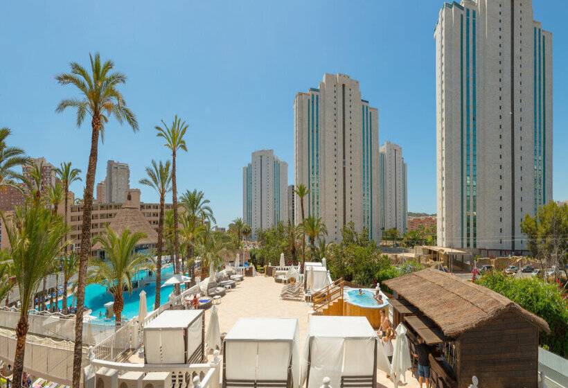 Magic Tropical Splash