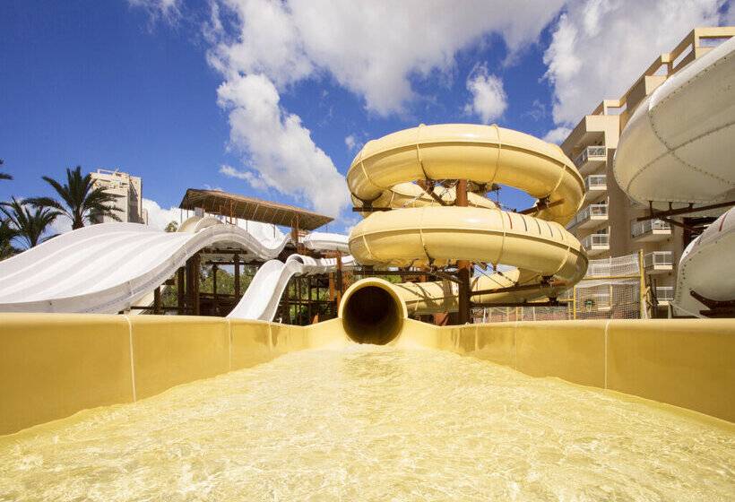 Magic Tropical Splash