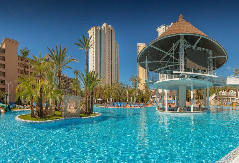 Magic Tropical Splash